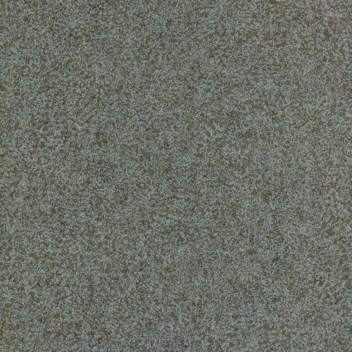 Shagreen 312906